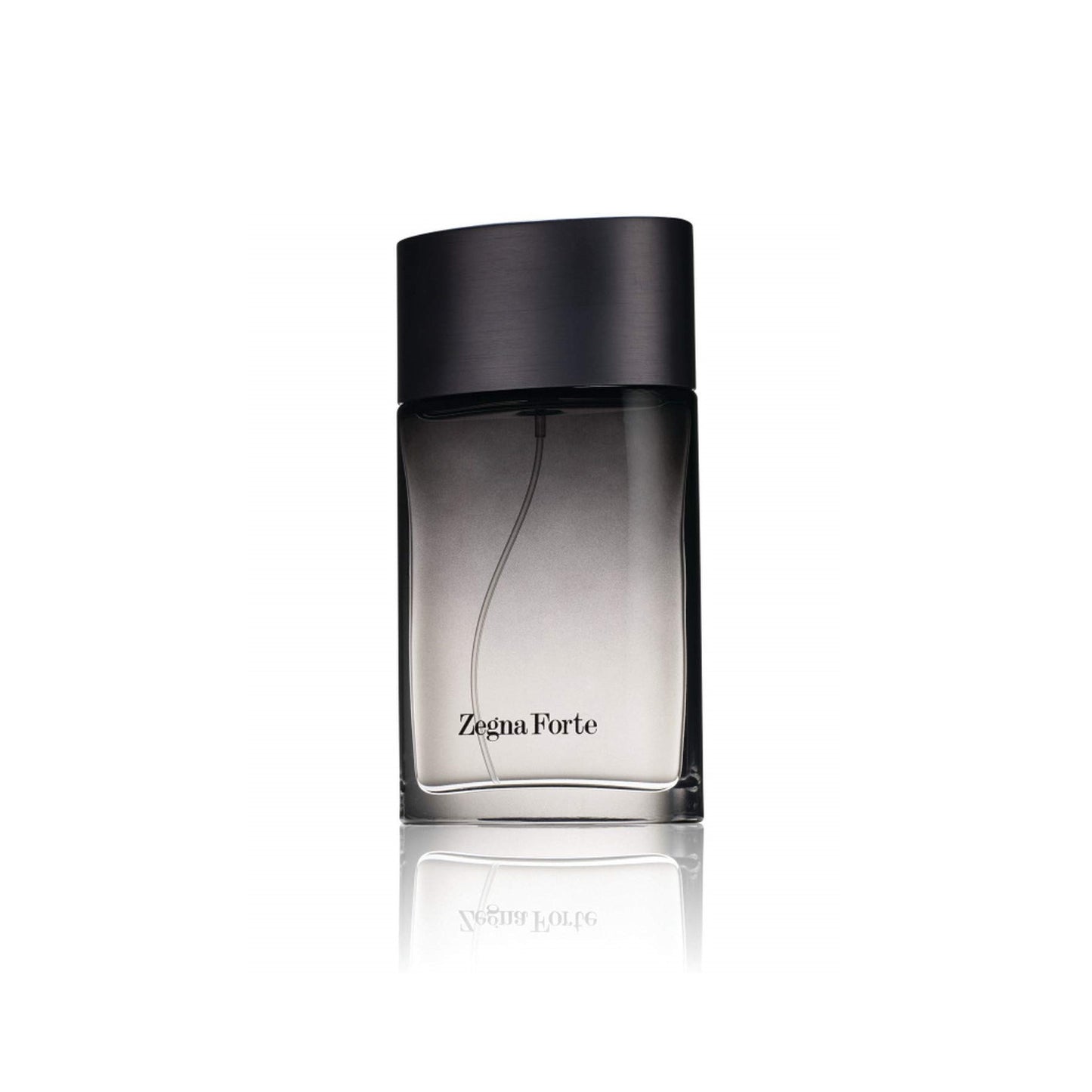 Zegna Forte EDT