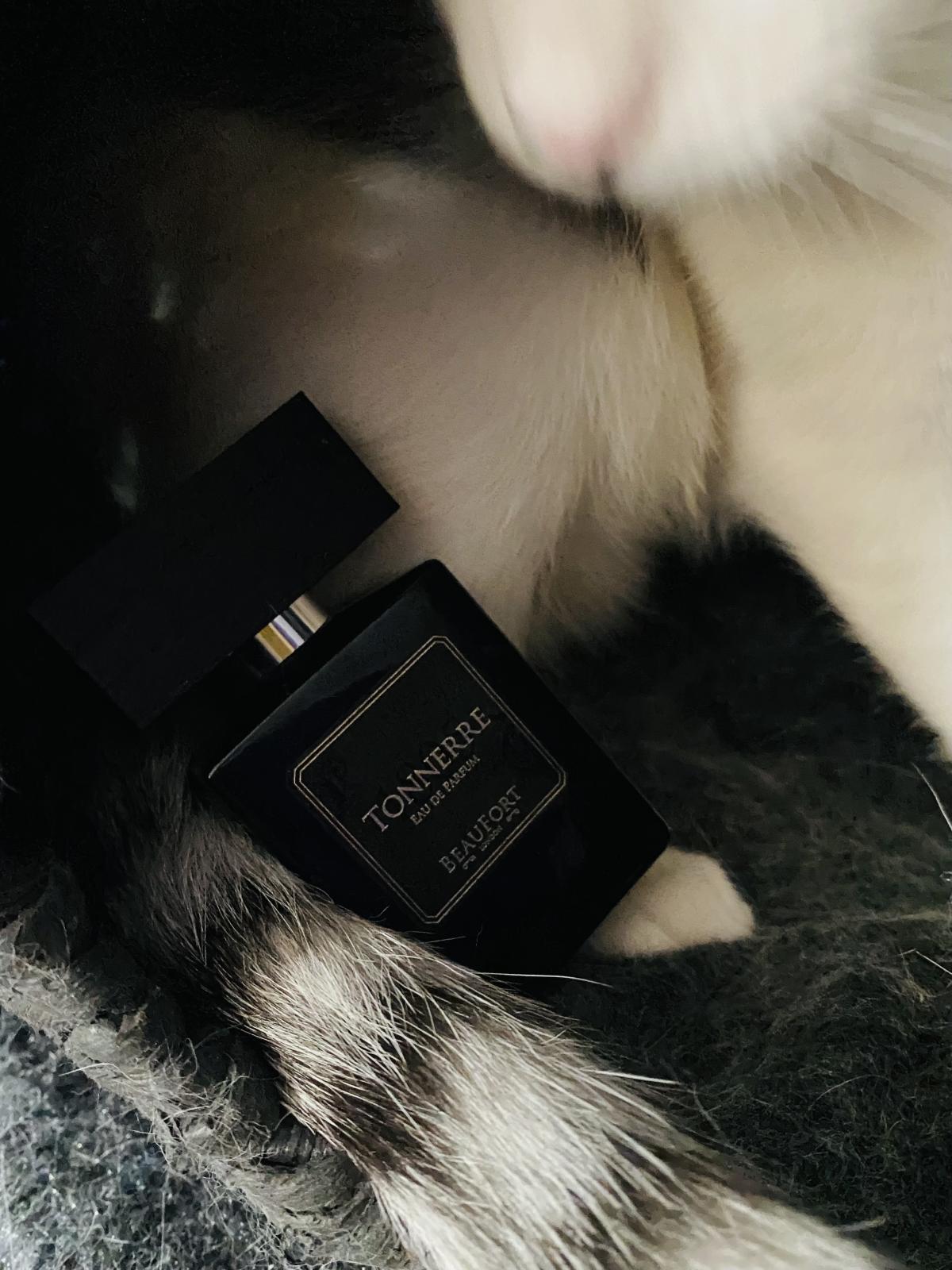 1805 Tonnerre EDP