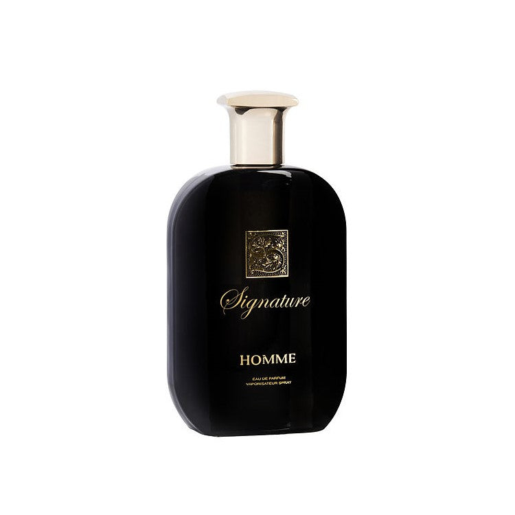 Signature clearance homme perfume